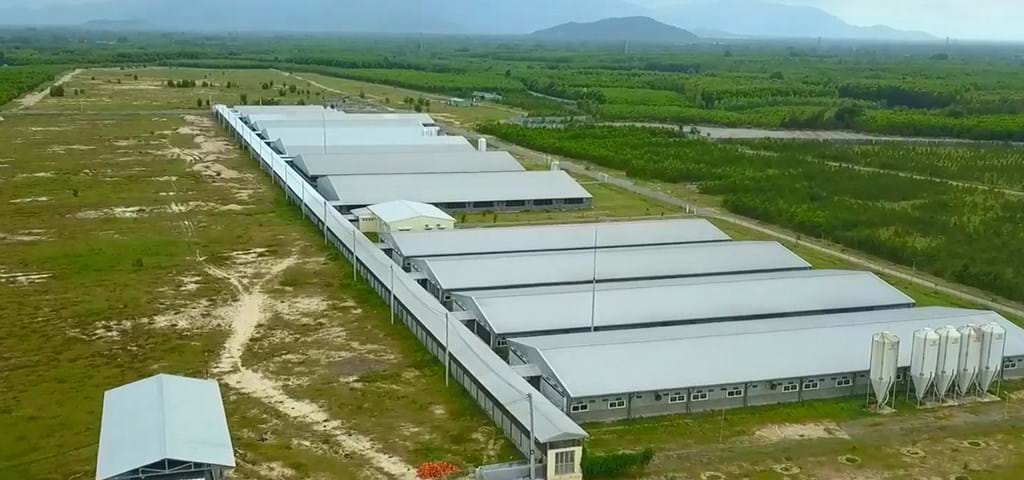 Proyecto de granja porcina SKIOLD, Binh Dinh, Vietnam 